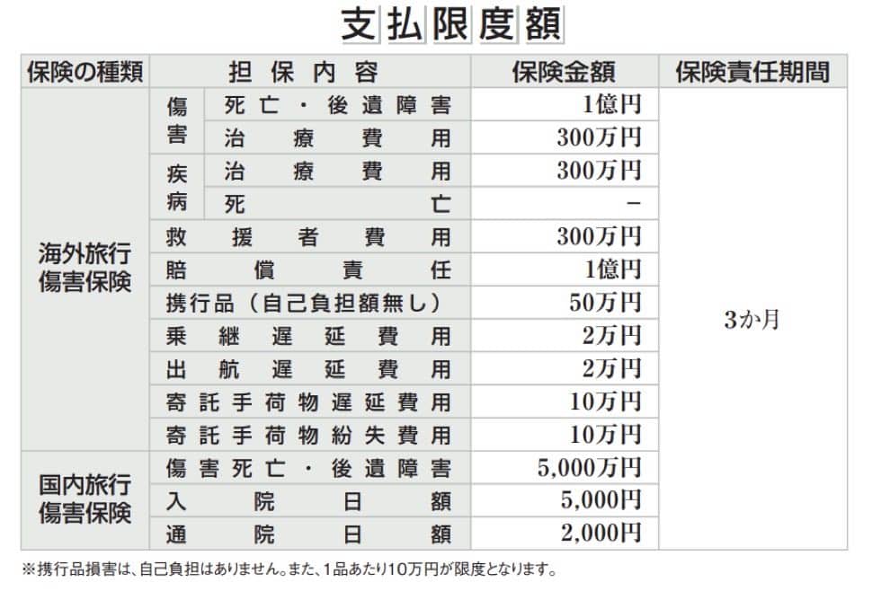 apollostation THE PLATINUM BUSINESSの海外旅行保険