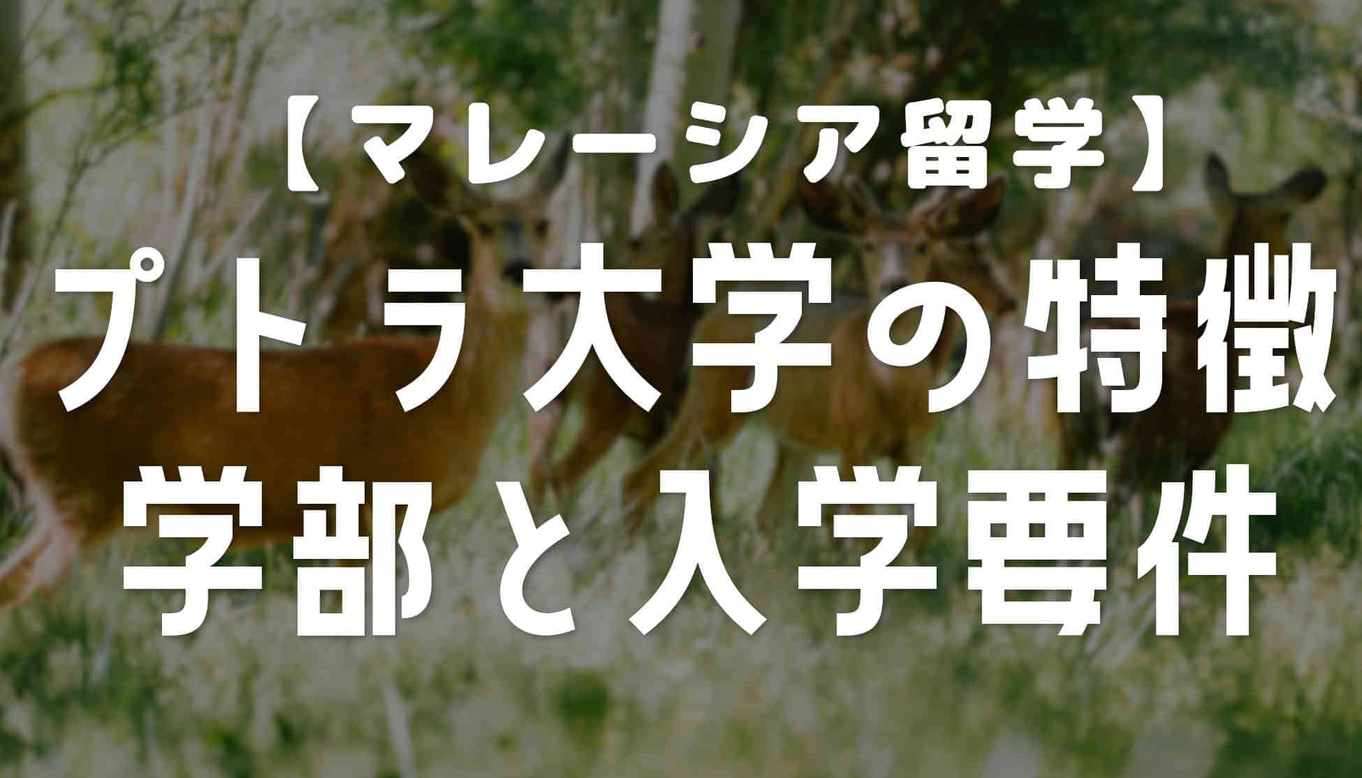 プトラ大学の特徴と学部・学費・入学要件【マレーシア大学進学】