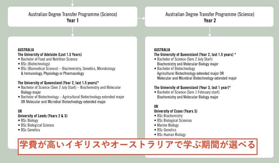 Inti大学の編入プログラムの例